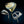 Honma x Bugatti Super Premium 4-Star Set