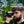 Shot Scope Pro L5 Rangefinder