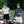 Cleveland Halo XL Womens Fairway
